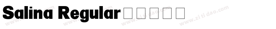 Salina Regular字体转换
